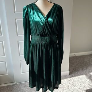 Emerald Green Velvet Dress